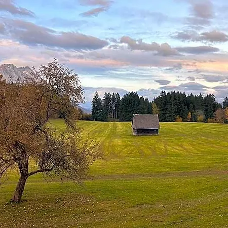 Edelweiss Mitterberg Hotel 3*