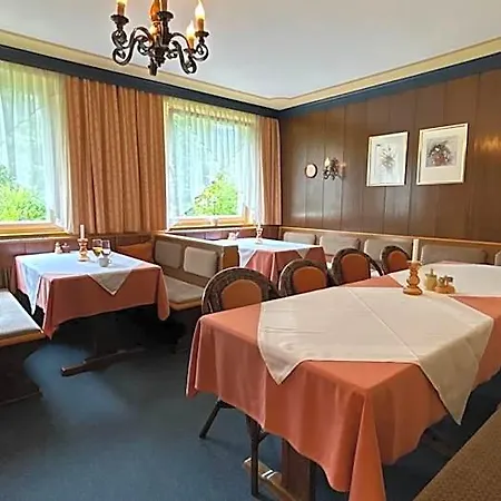 Hotel Edelweiss Mitterberg Oblarn