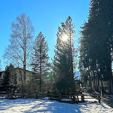 Hotel Edelweiss Mitterberg 3*
